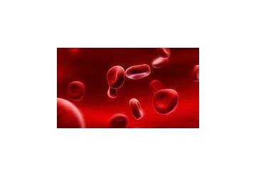 درمان کم خونی / چرا زنان دچار کم خونی می شوند؟