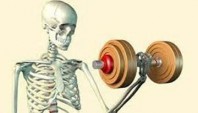تاثیر مصرف کربوهیدارت و پروتئین پس از ورزش بر متابولیسم استخوان